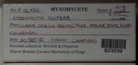 Image Associated With the Occurence